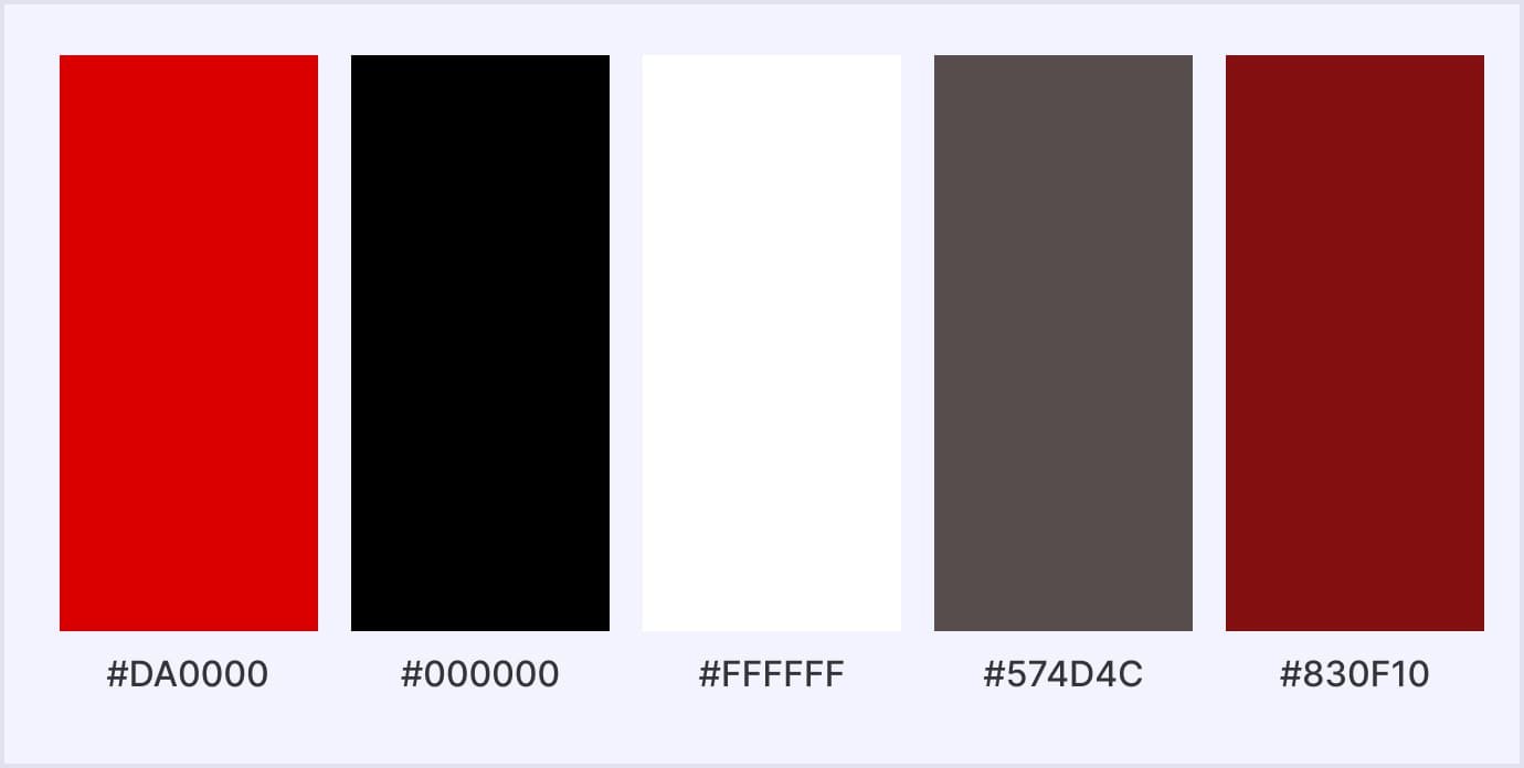 Netflix color palette Color palette: Netflix example