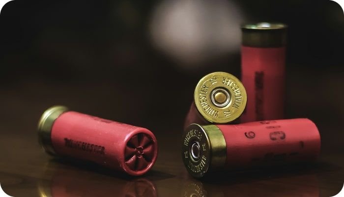 Post: Launching Your Online Gun Store in the US with FFL | Codica