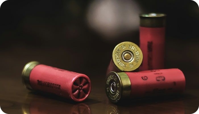 Post: Launching Your Online Gun Store in the US with FFL | Codica