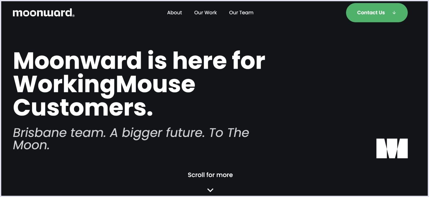 WorkingMouse Custom Business Software WorkingMouse homepage highlighting custom business software and workflow solutions