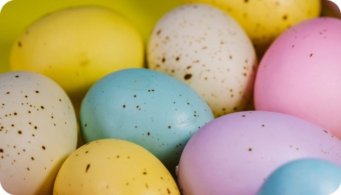 Post: Solving Chicken-Egg Problem for Online Marketplaces | Codica