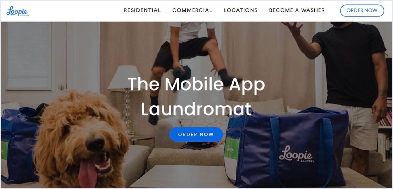 Angel investment example: Loopie Laundry