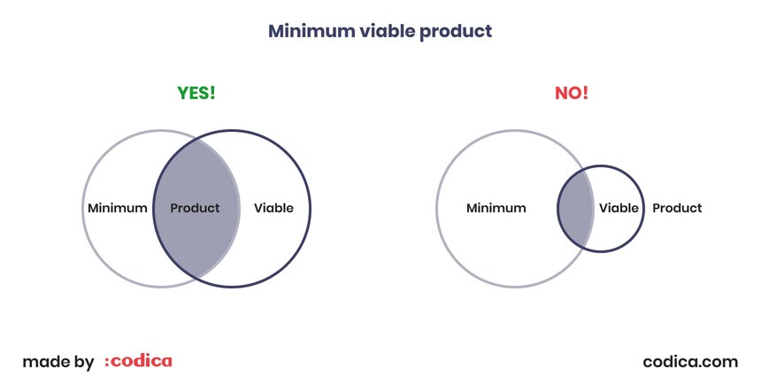 5 Reasons to Start Custom Software Development With an MVP | Codica