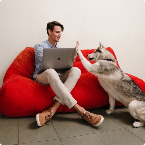 Codica - an exciting place to work | Codica