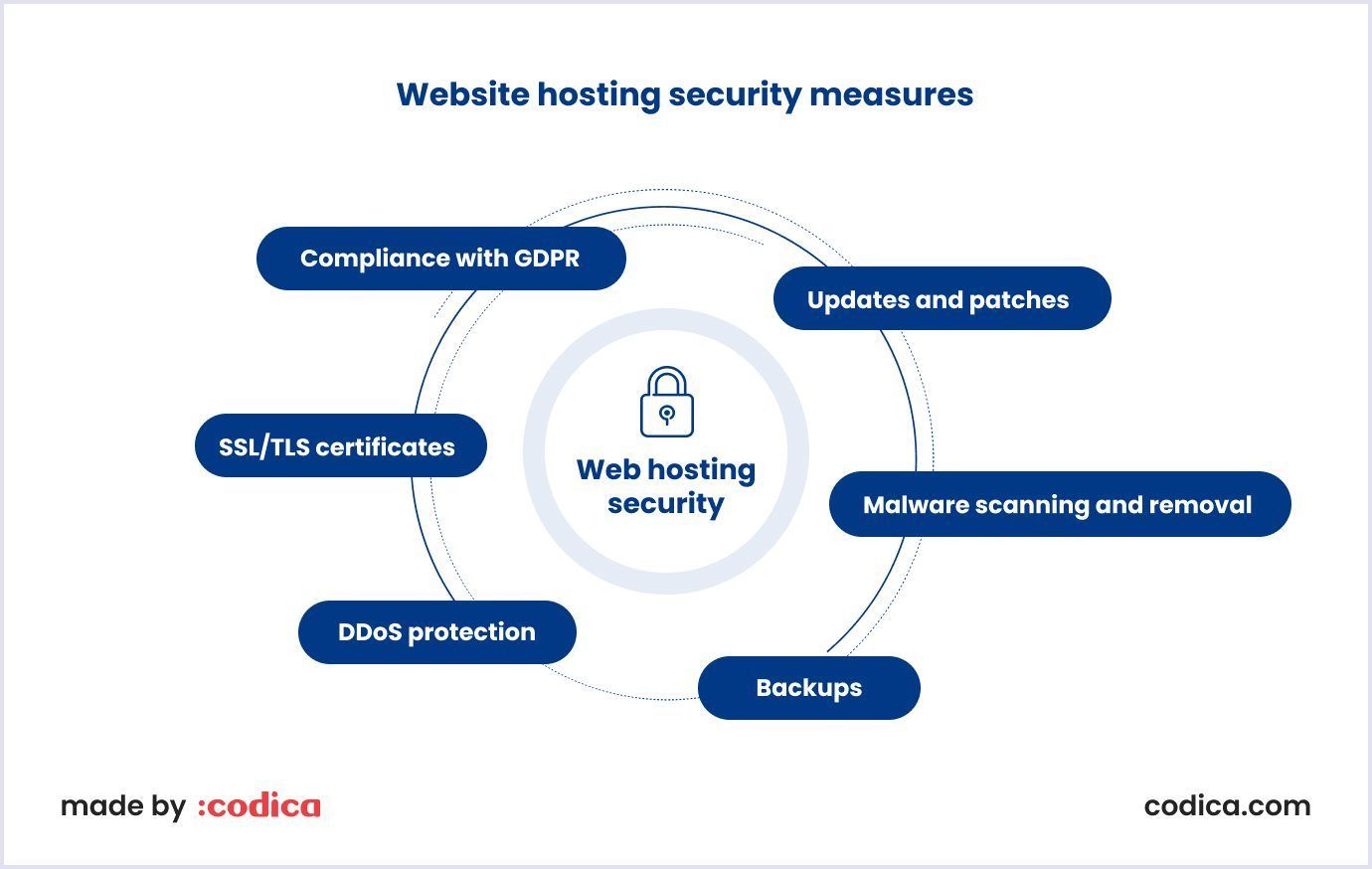 Website hosting security measures