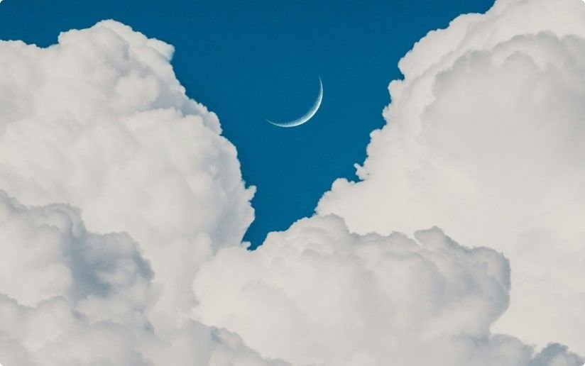 Post: How to Select the Perfect SaaS Hosting Provider for Your SaaS Application | Codica
